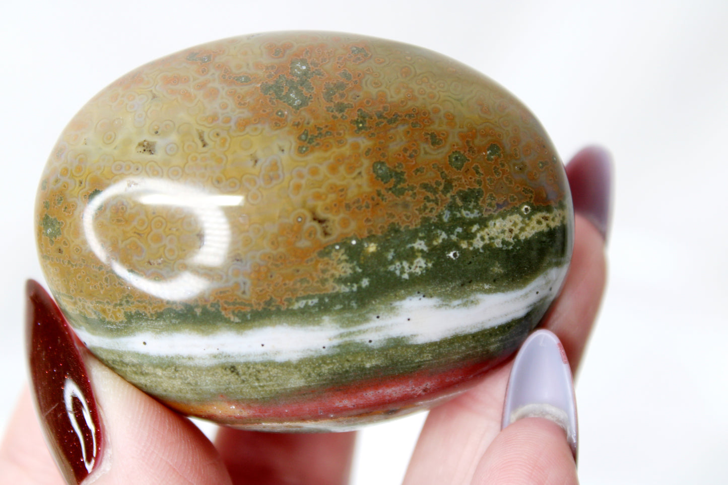 Ocean Jasper Palm