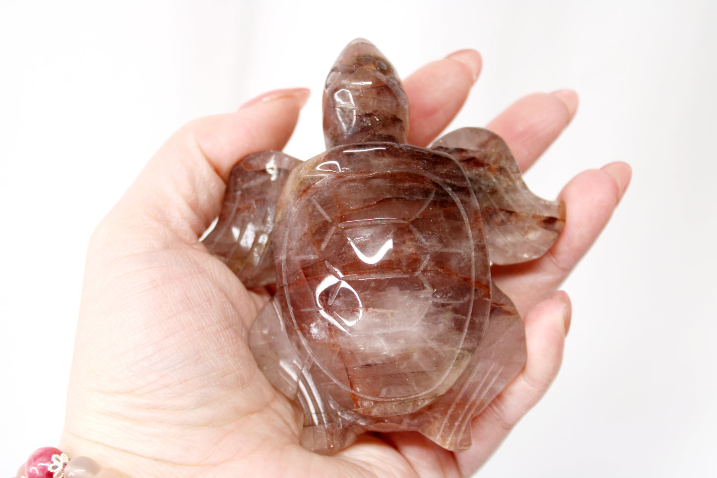 Fire Quartz Turtle - GUP